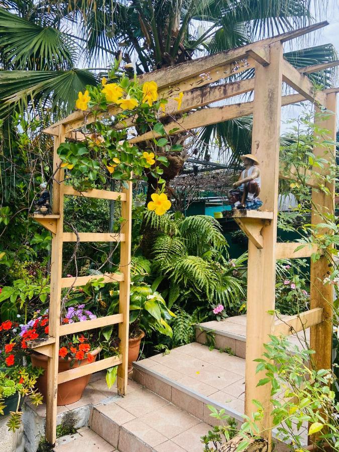 Chambres D'Hotes L'Orchidee Rose Салази Екстериор снимка