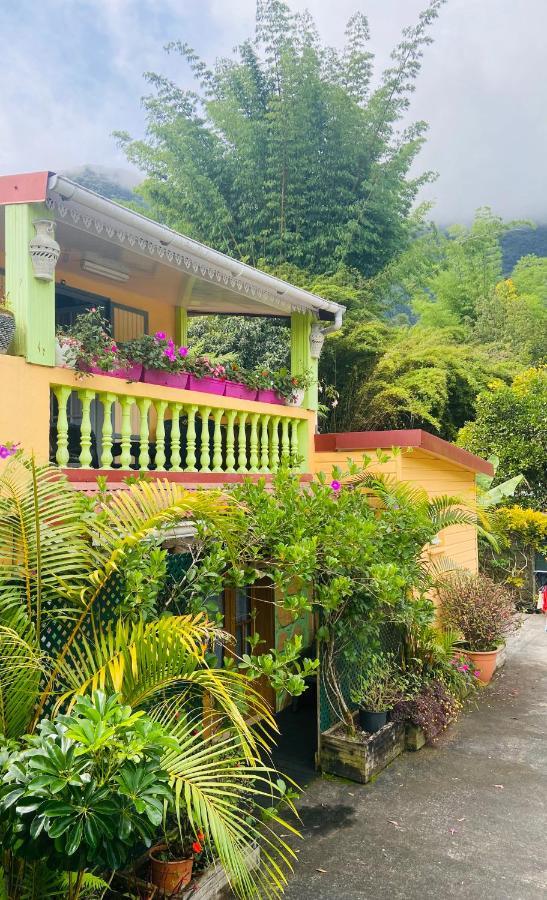 Chambres D'Hotes L'Orchidee Rose Салази Екстериор снимка