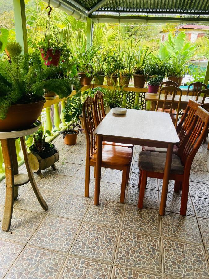 Chambres D'Hotes L'Orchidee Rose Салази Екстериор снимка