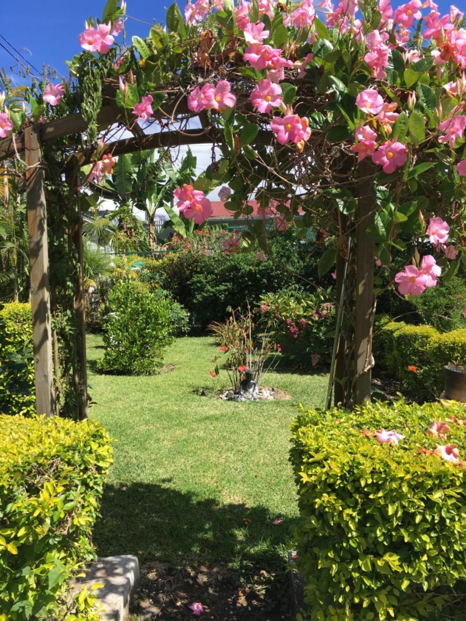 Chambres D'Hotes L'Orchidee Rose Салази Екстериор снимка